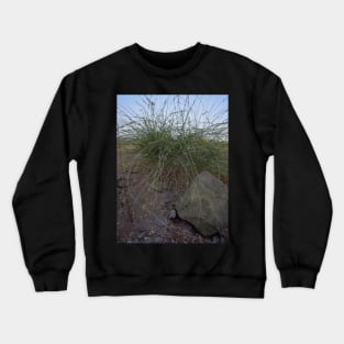 green grass on the beach Crewneck Sweatshirt